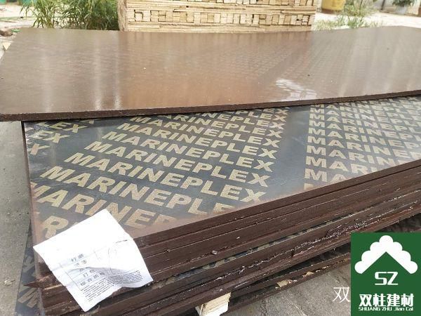 ����ģ�����a܇�g (15).jpg