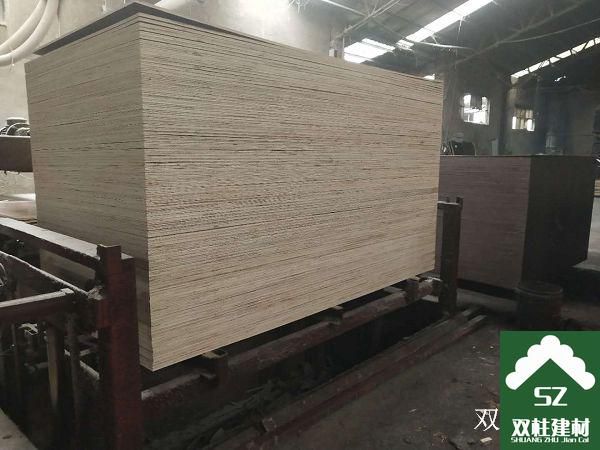 ����ģ�����a܇�g (9).jpg