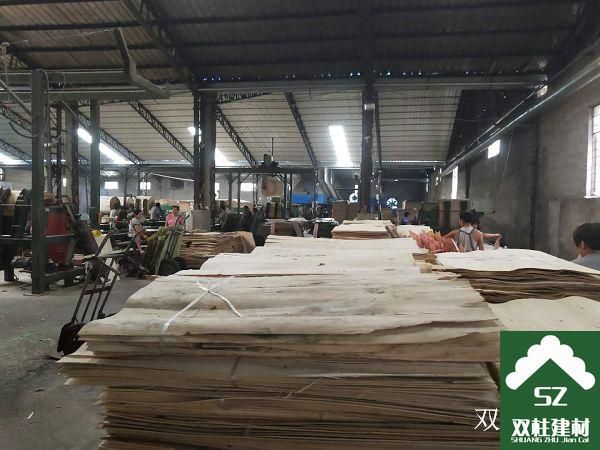 ����ģ�����a܇�g (13).jpg